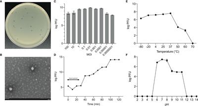 The Expansion of a Single Bacteriophage Leads to Bacterial Disturbance in Gut and Reduction of Larval Growth in Musca domestica